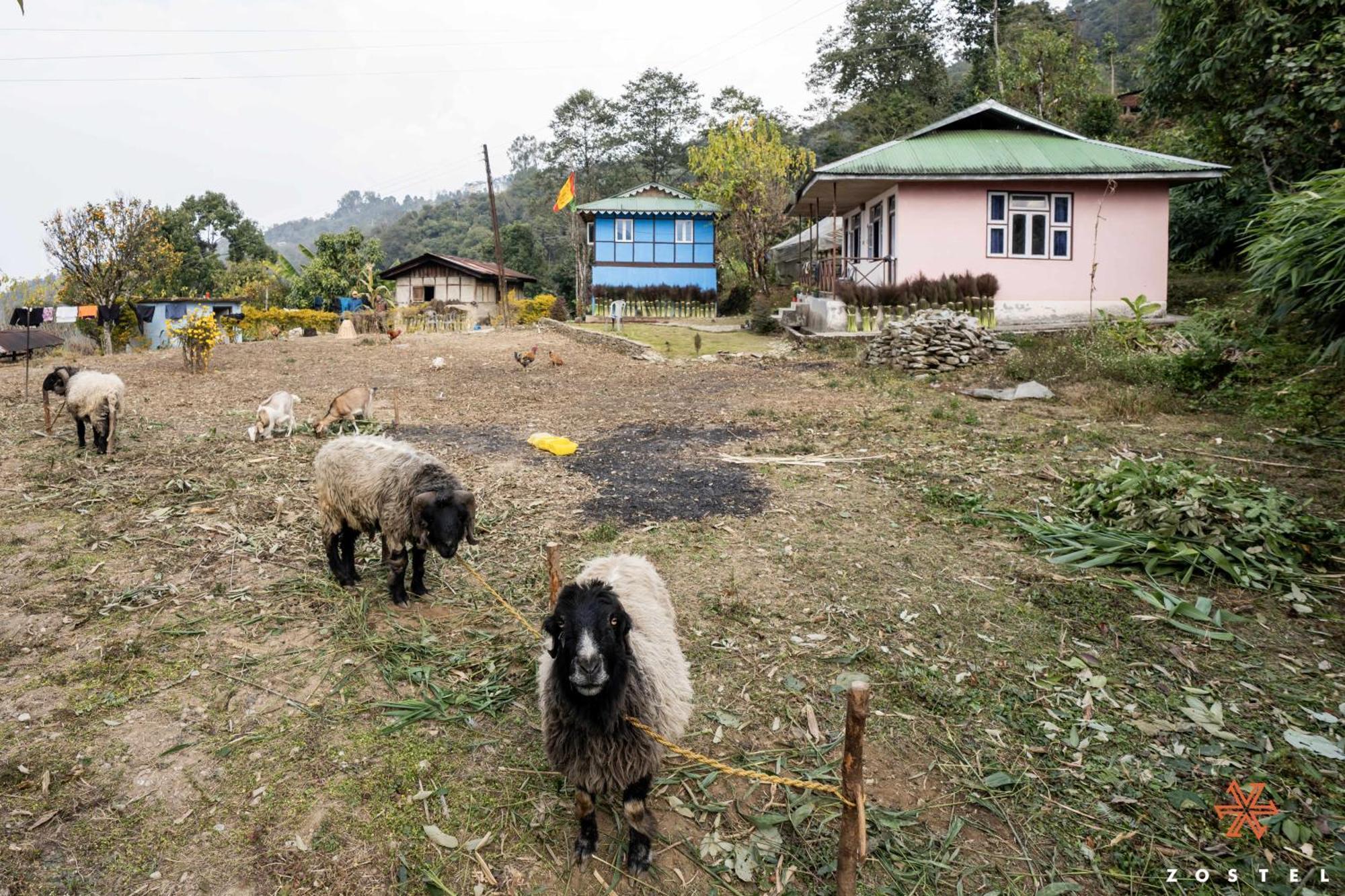 Ostello Zostel Rinchenpong Esterno foto
